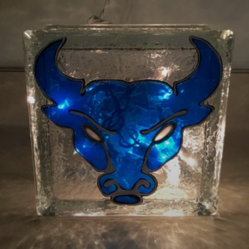 Buffalo Bulls Football Hand Painted light up block